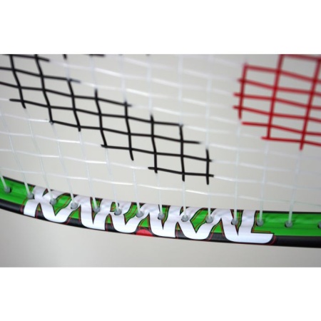 Ракетка для сквоша Karakal Pro Hybrid KS24018